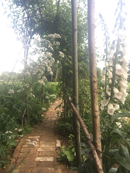 Wicor Primary School Community Garden